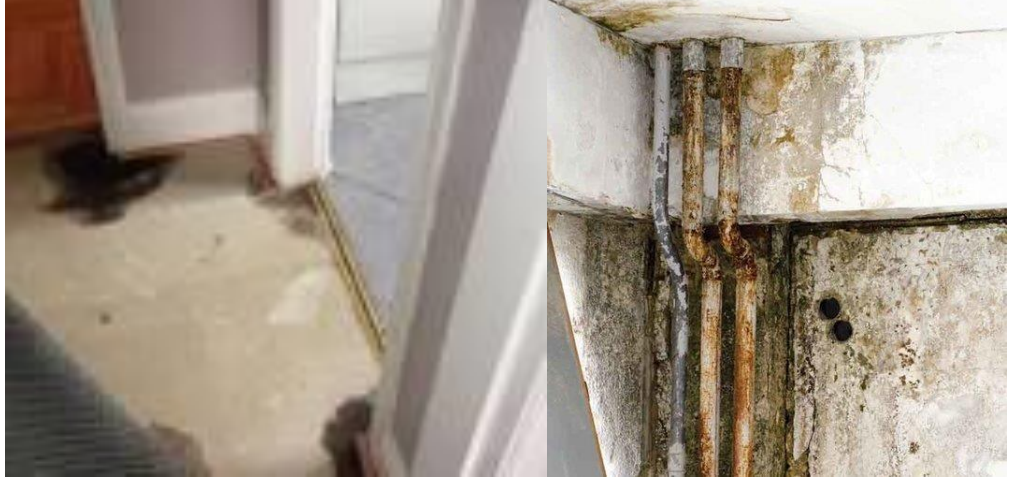 defective plumbing damp
